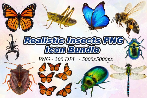 Realistic Insects PNG: Elevating Digital Design with High-Fidelity 3D Assets